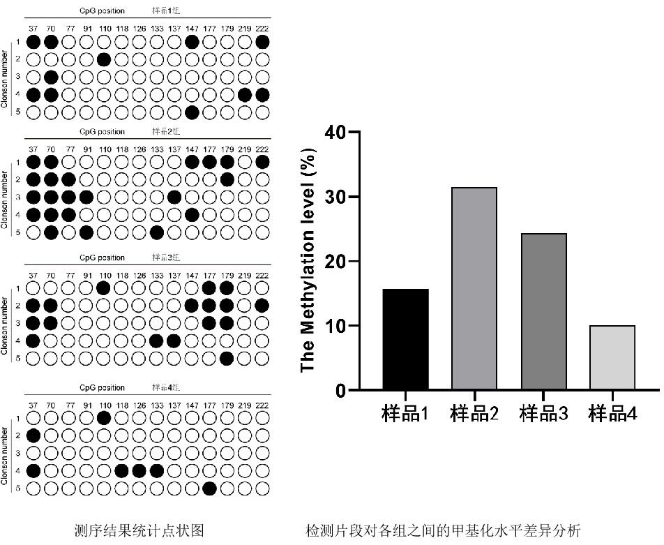 甲基化檢測(cè)