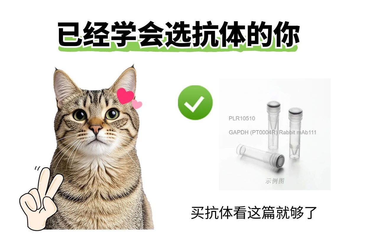 2025年了，我不允許還有人不知道抗體選哪家！