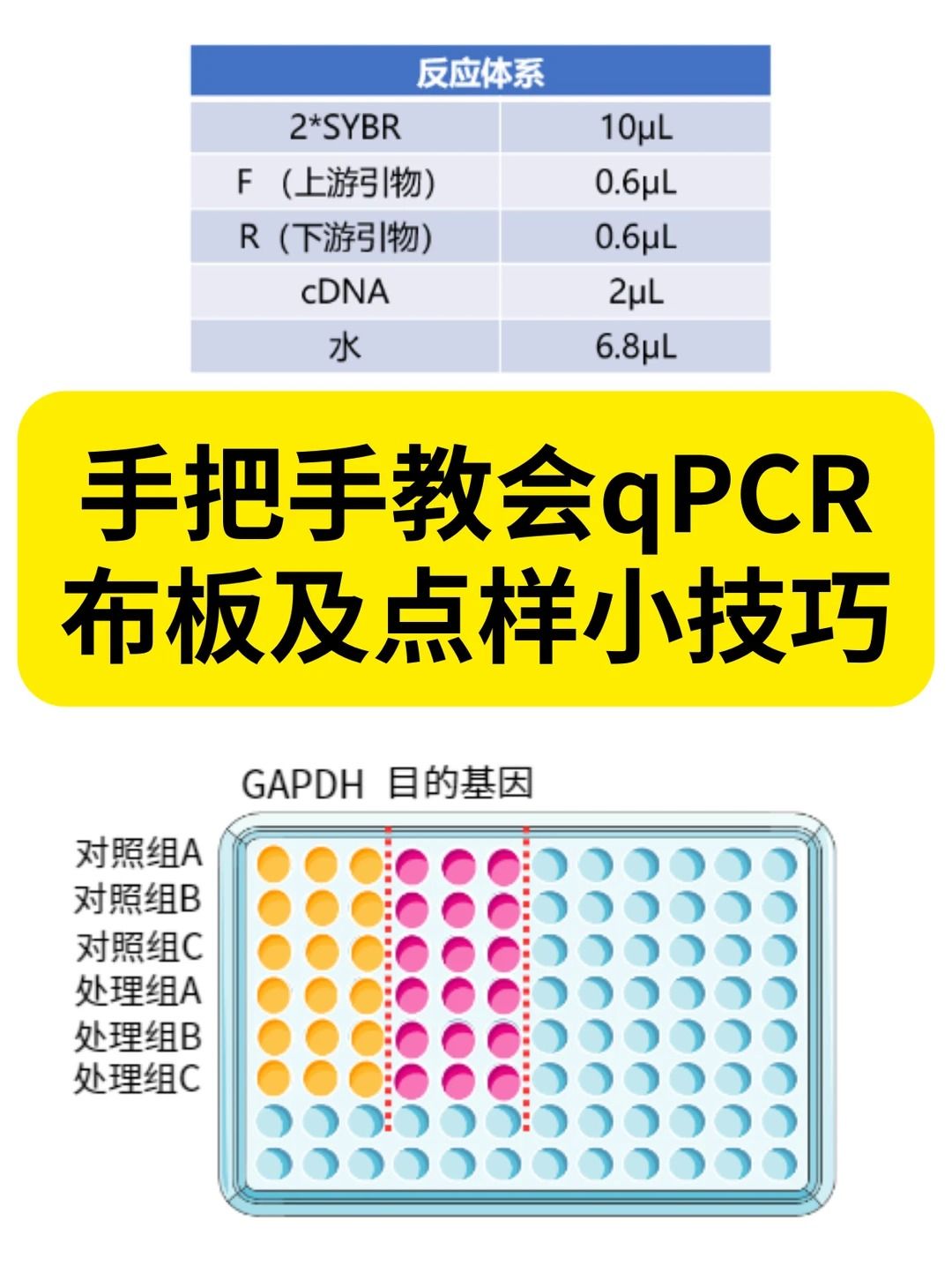 qPCR 點(diǎn)樣秘籍&mdash;降低孔間誤差