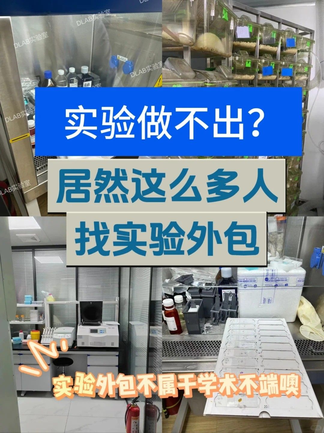 原來(lái)我們周?chē)羞@么多人選擇實(shí)驗(yàn)外包