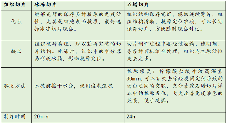 冰凍切片與石蠟切片的優(yōu)缺點