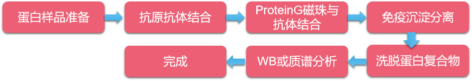 1594276425361331.png CO-IP實驗流程圖.png